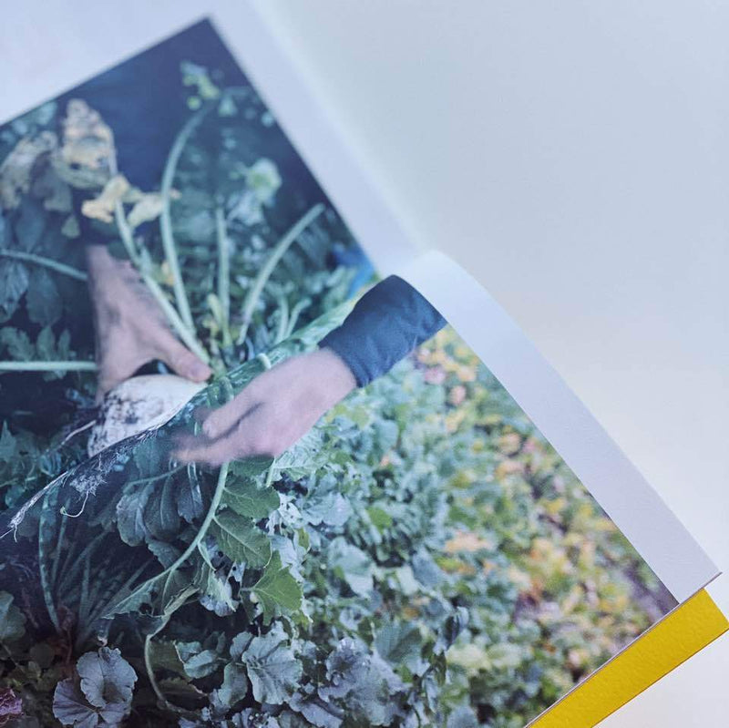 Jeju Table by Contents Group JeJuSangHoe (제주식탁 | 재주상회) - Stroll